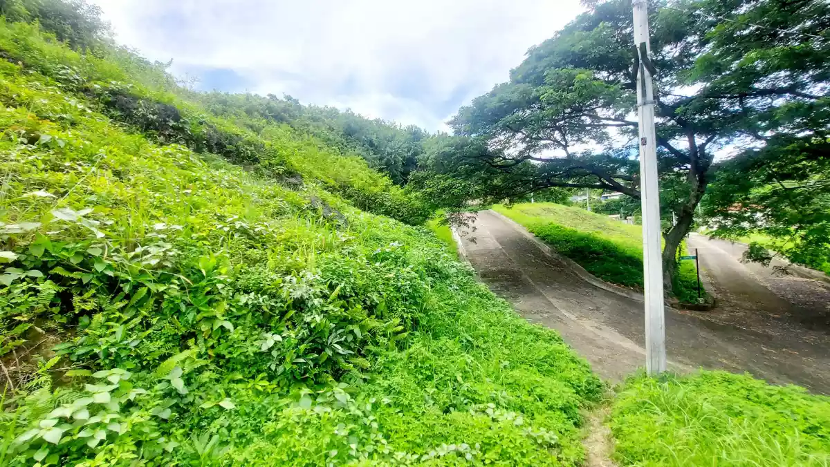 Residential Lots Adjascent for Sale in Aspen Heights Consolacion, Cebu