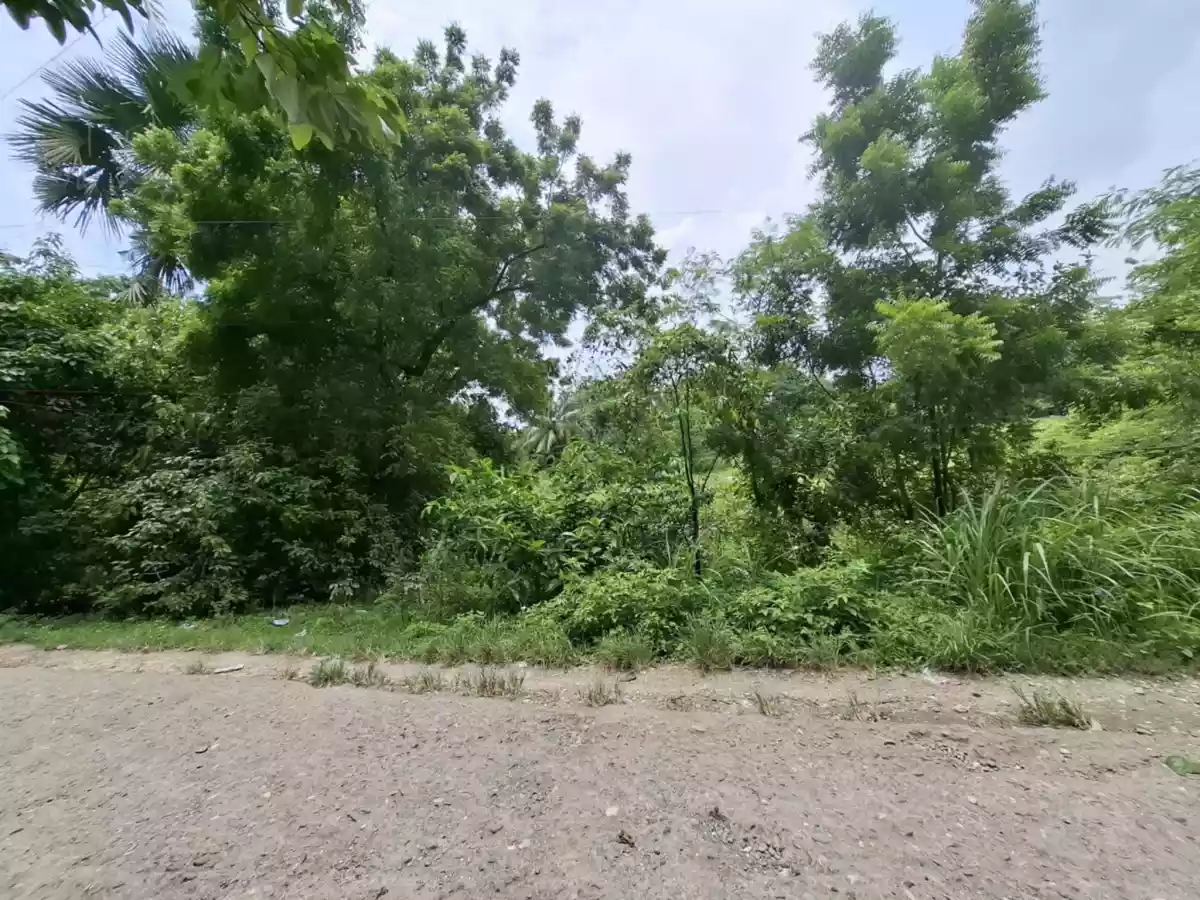 Residential Lot for Sale 