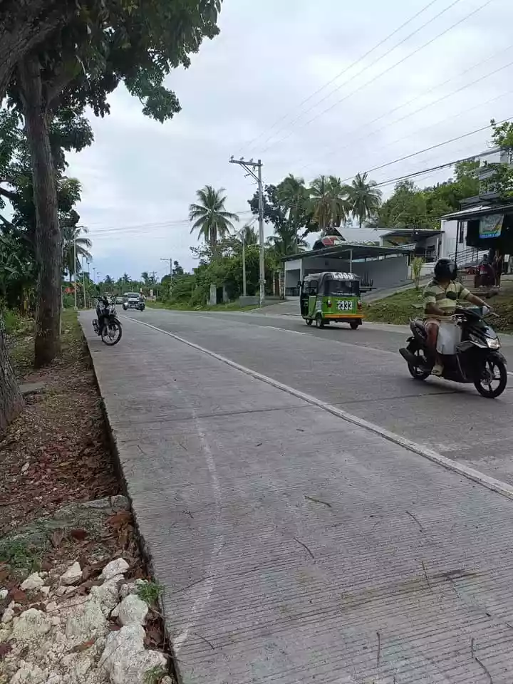 Residential Lot for Sale in Catarman Dauis, Bohol - photo 2