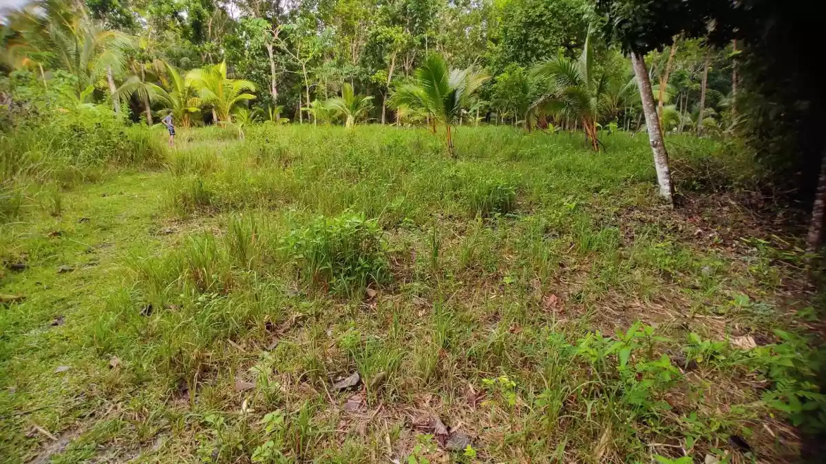 Lot for Sale near Nata-asan BeachResort