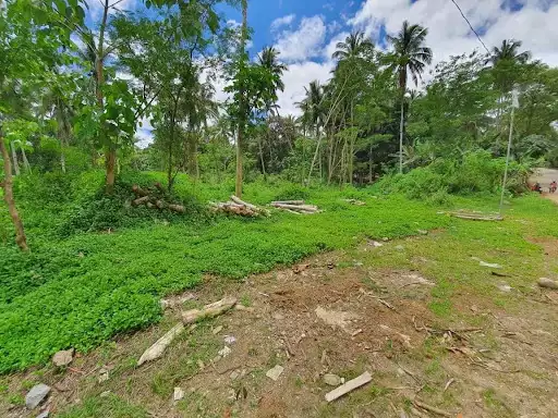 RUSH LOT FOR SALE ALONG NATIONAL HIGHWAY — Commercial Lot in Misamis Oriental, Philippines — Photo 3