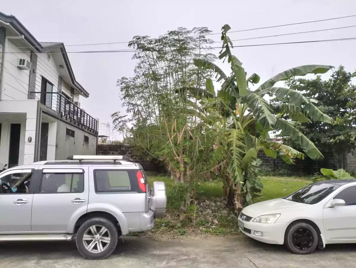 Residential lot for SALE IN PACIFIC GRAND - photo 2