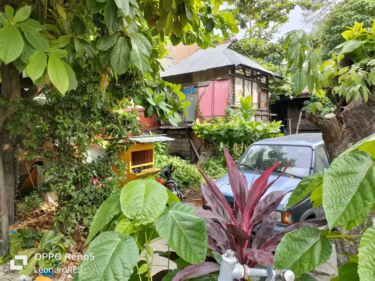 Commercial Property for Sale near downtown Dumaguete City — Commercial Lot in Dumaguete, Negros Oriental, Philippines — Photo 4