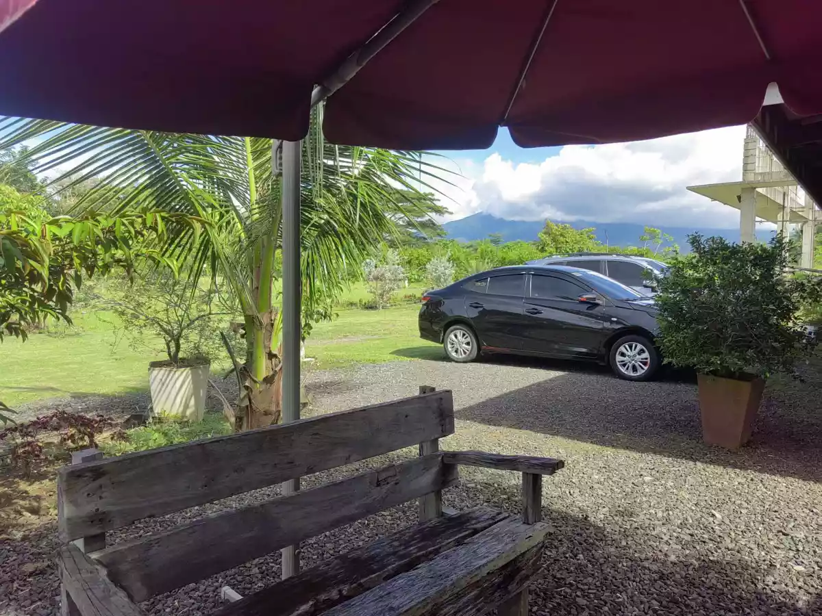 Farm Land for SALE! Nearby Naga City Upland (Clean Tittle) - photo 3