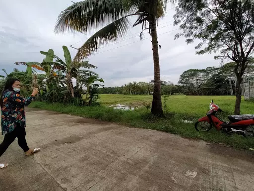 Agricultural land