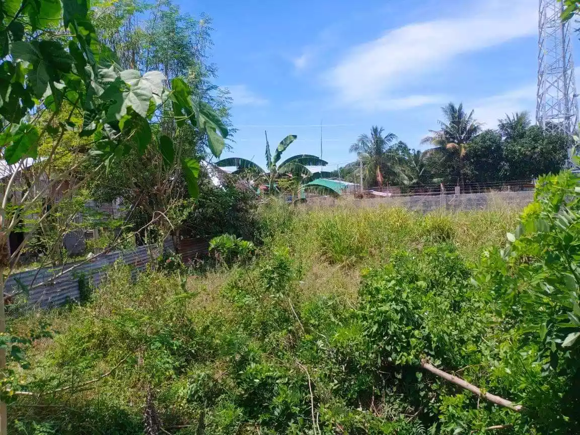 For Sale 300sqm Residential Lot l Mabuhay - photo 5