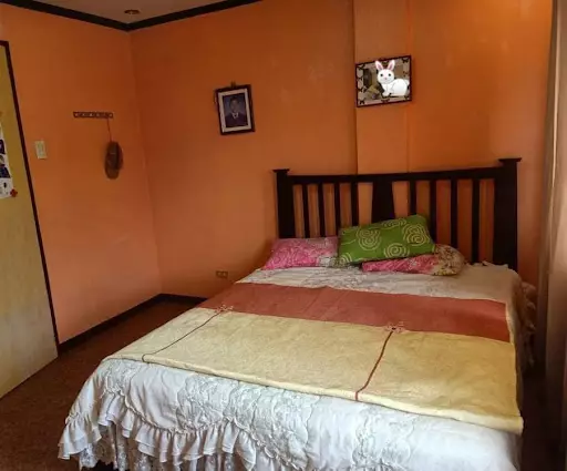 House and lot in Lapulapu — Townhouse in Purok Butterfly, Babag 1, Lapu-Lapu City — Photo 4
