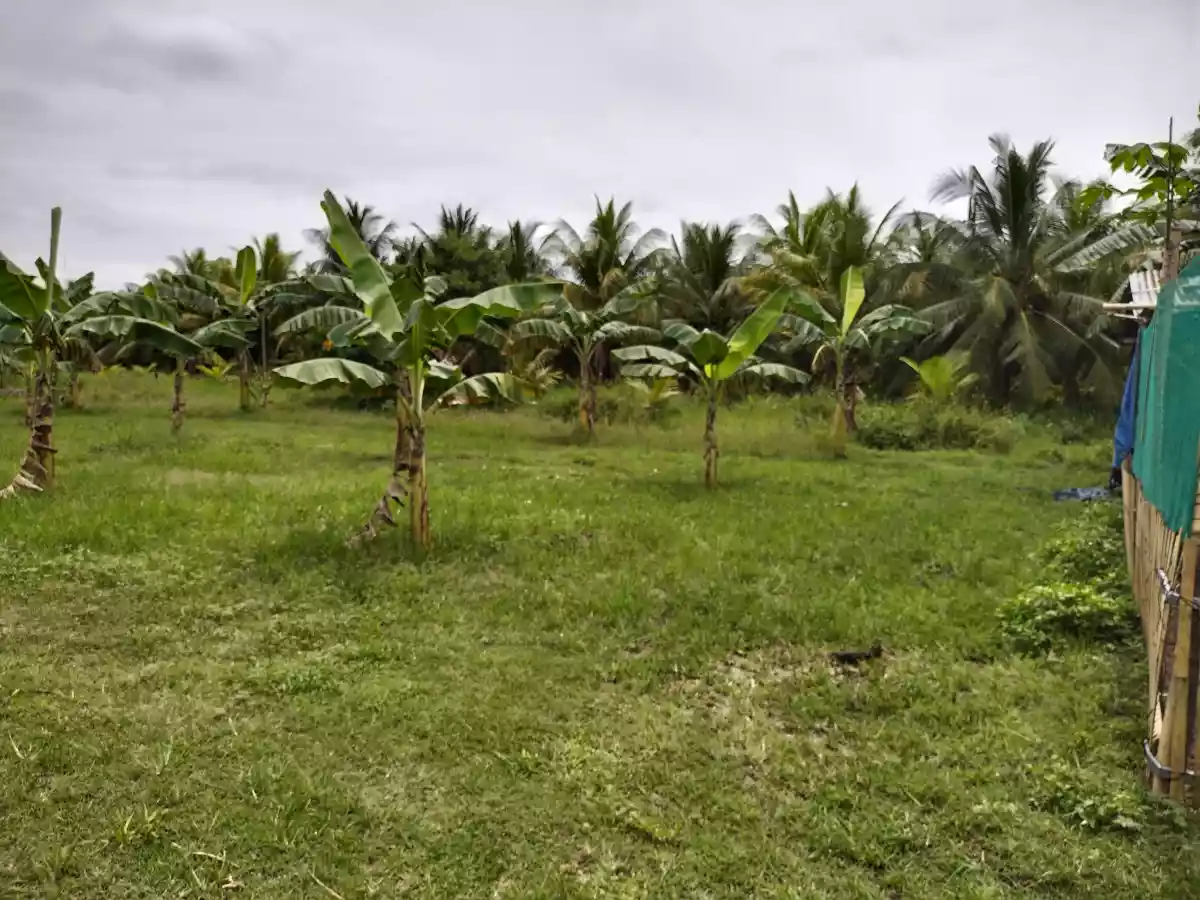 Peaceful community silway8 - photo 4