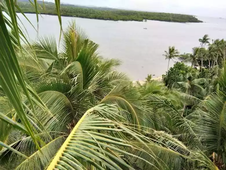 BeachLot For Sale in Gen Luna Surigao del Norte Siargao