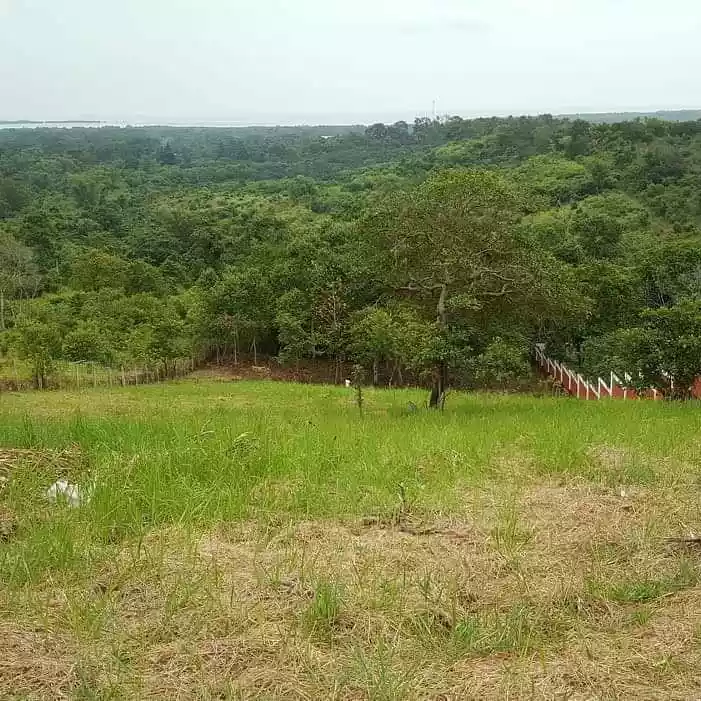 Overlooking Honda Bay Property - photo 5