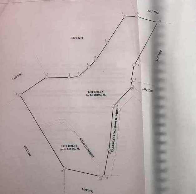 Lot for Sale in Lanipga Consolacion, Cebu — Agricultural Lot in Cebu, Philippines — Photo 7