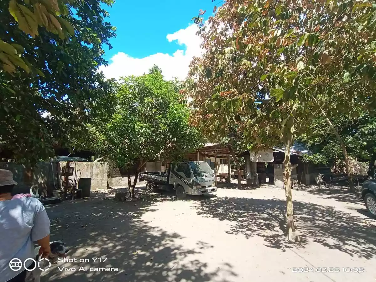 1 HECTARE FOR SALE IN POLOMOLOK — Agricultural Lot in Polomolok, South Cotabato, Philippines — Photo 5