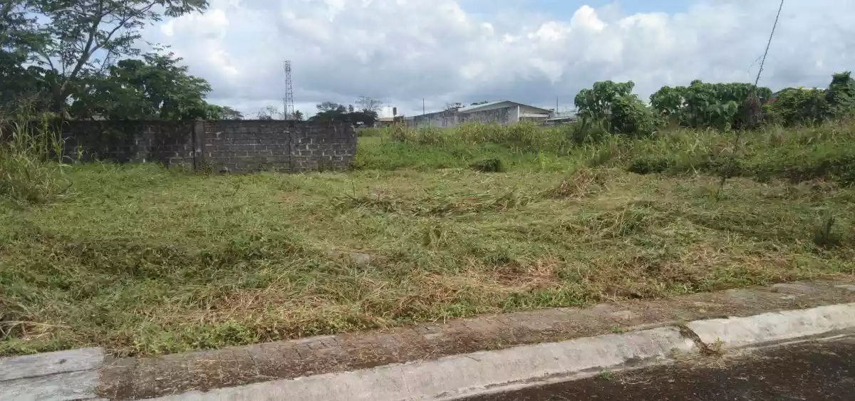 Monte Cielo Phase 3, Block 8 Lot 4 - photo 6