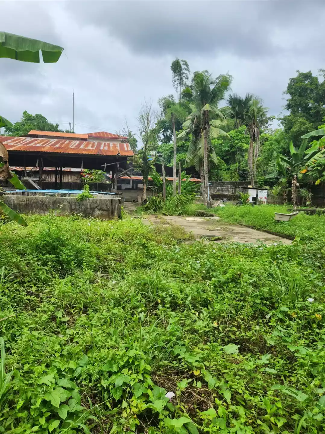 Lot for sale — Commercial Lot in Cebu, Philippines — Photo 3