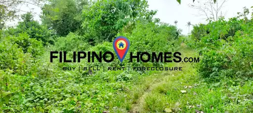 605 — Agricultural Lot in Naga, Camarines Sur, Philippines — Photo 4