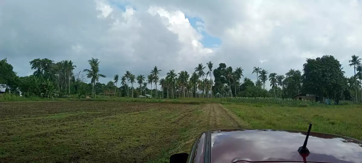 Titled Farm lot Good For Housing — Agricultural Lot in Puerto Princesa South Road, Puerto Princesa, Palawan — Photo 3