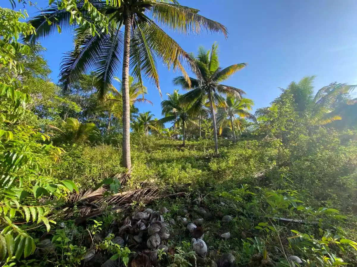 Open photo 15 of 27 — Over Looking LOT FOR SALE along Brgy Road Bayanga, Cagayan de Oro City