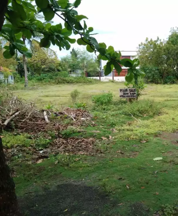 Lot only in Sta Fe Bantayan Island For Sale — Residential Lot in Santa Fe, Cebu, Philippines — Photo 5