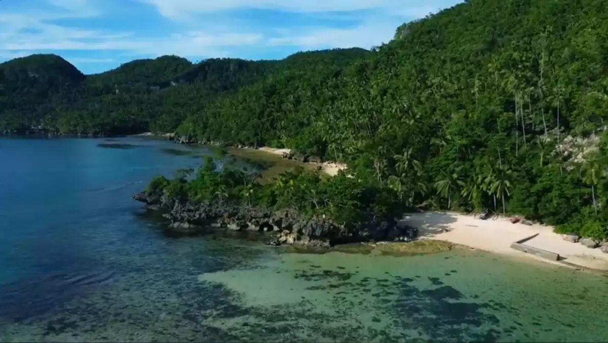 RARE FIND Hinugtan Beach Paradise FOR SALE - photo 4