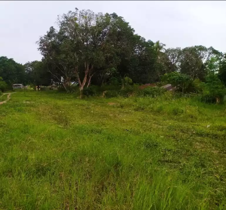59,665 Square Meters Land for Sale in General Santos City