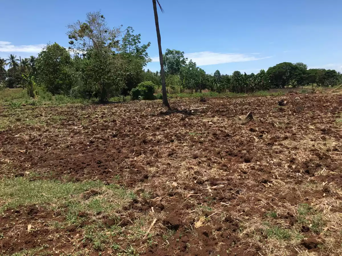 Cogon, Elsalvador — Residential Lot in Misamis Oriental, Philippines — Photo 4