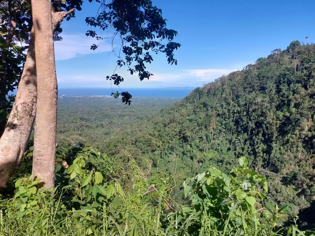 Developed Lots in Valencia/Dumaguete — Residential Lot in Valencia Negros Oriental, Valencia, Negros Oriental — Photo 2