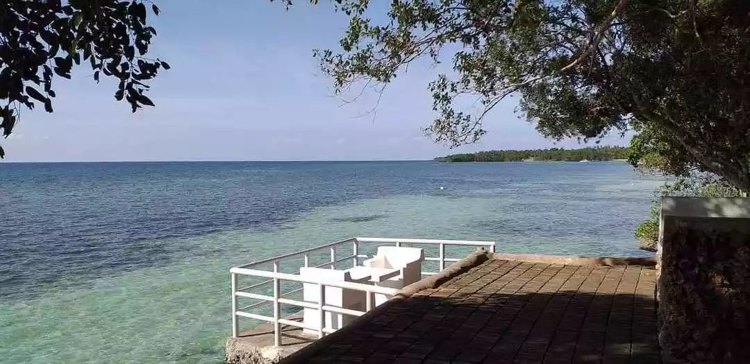 CAMOTES ISLAND BEACH LOT - photo 2
