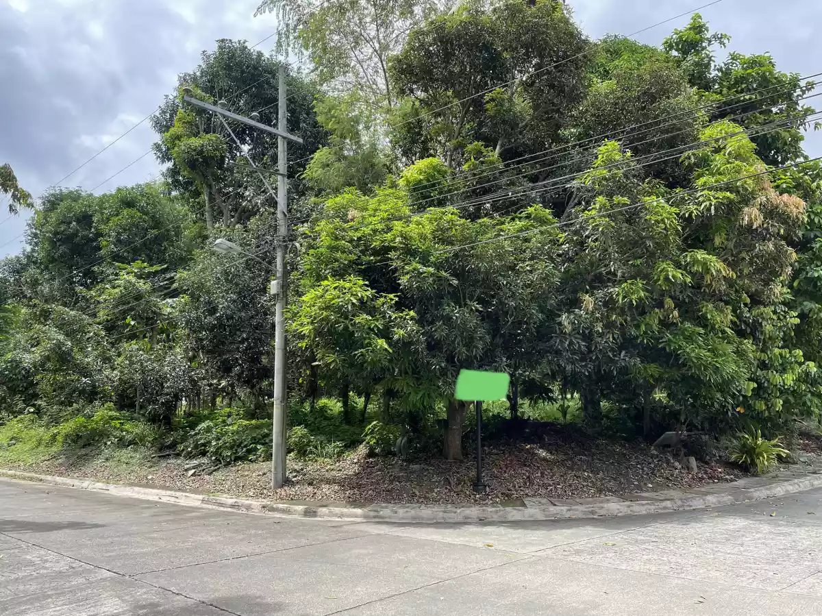 Open photo 18 of 19 — Las Terrazas Lot for Sale