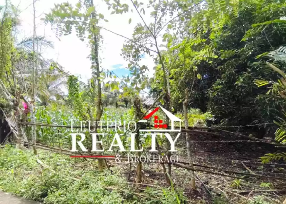 Farm Lot in Pacol/Carolina, Naga City - Good investment and business — Agricultural Lot in Naga City, Camarines Sur, 4400 — Photo 6