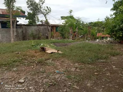 FOR SALE Residential Lot in Mandaue City Cebu - photo 3