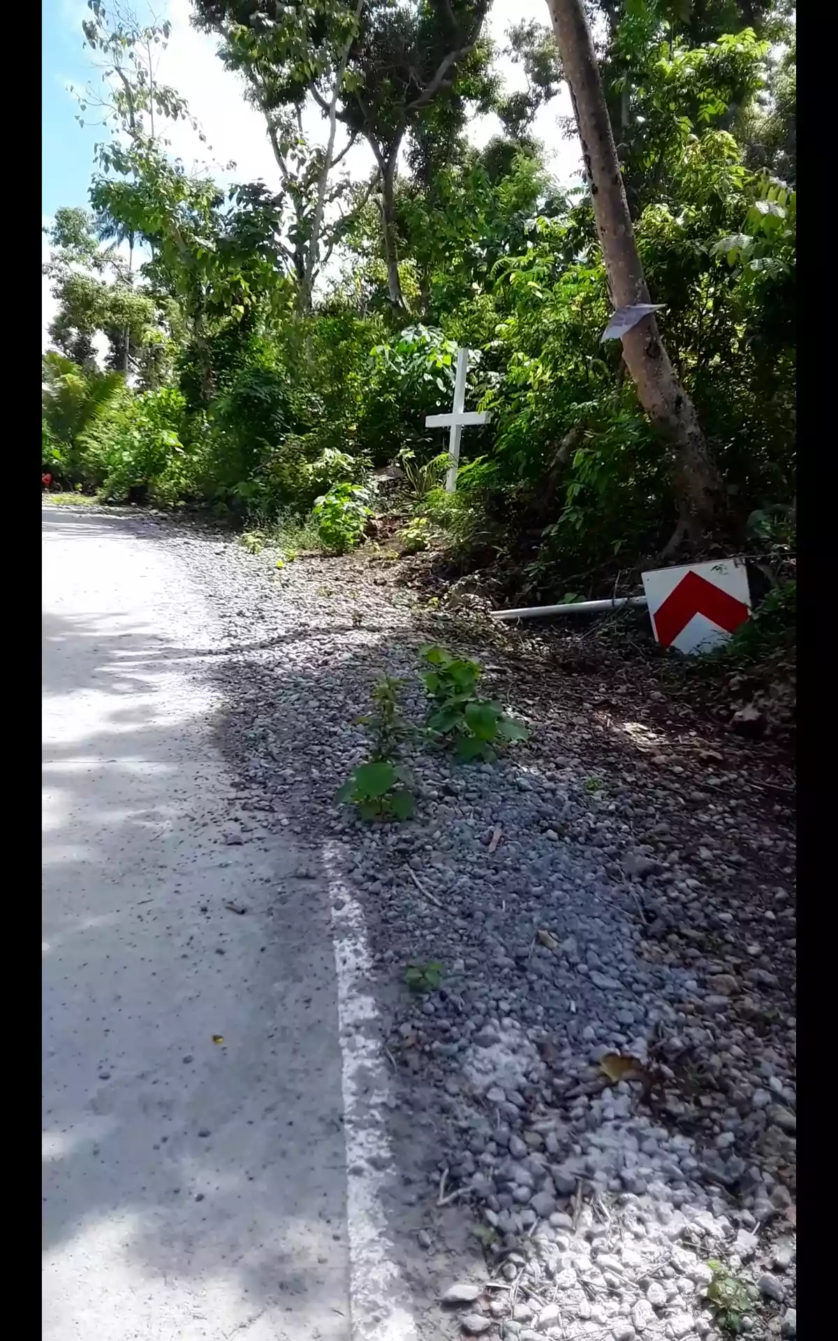 Commercial lot for sale  - photo 2