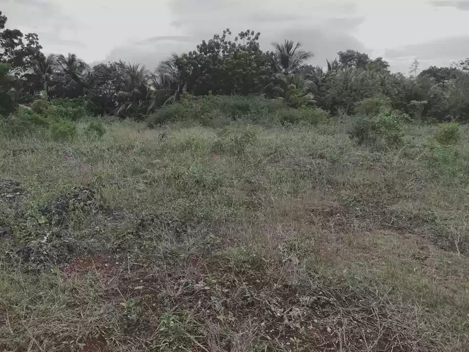 7,863sqm lot for sale in Pangangan Island Calape Bohol 480 per sqm - photo 3
