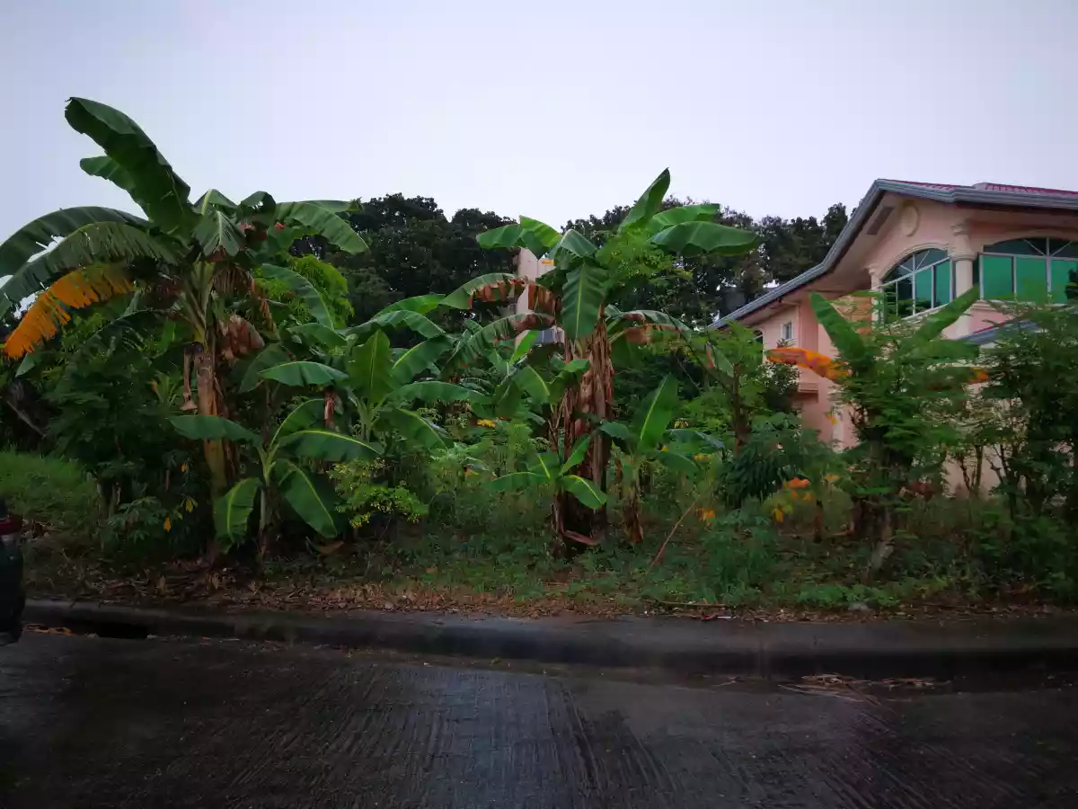 Lot for Sale at Vista Grande Bulacao — Agricultural Lot in Rio de Janeiro Street, Talisay, Cebu — Photo 5