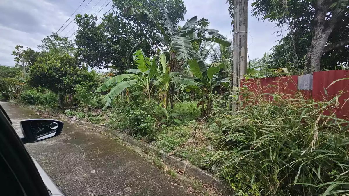 RARE FIND RESIDENTIAL LOT IN CARMELA EXECUTIVE TALISAY CITY  - photo 2