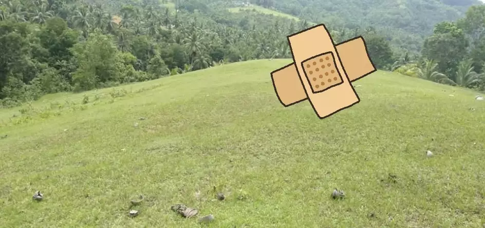 Titled lot — Agricultural Lot in Cebu, Philippines — Photo 3