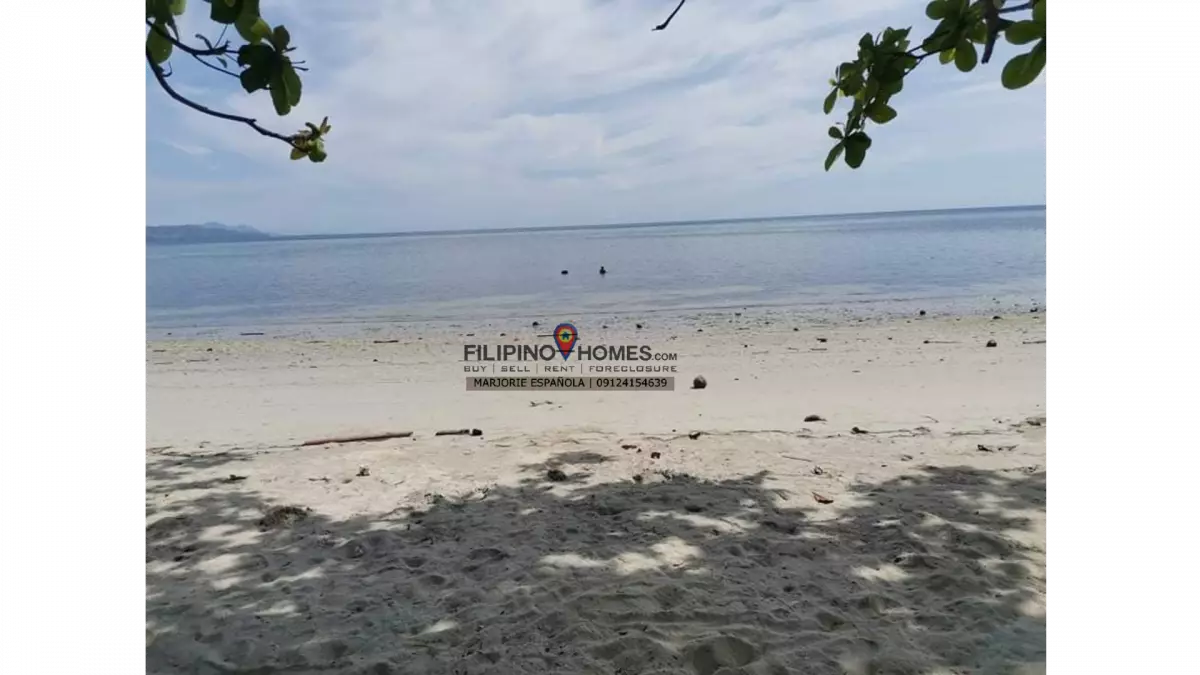 3000 sq.m Beach Lot for Sale with WHITE SAND || Glan, Sarangani — Beach Lot in Glan, Sarangani, Philippines — Photo 5