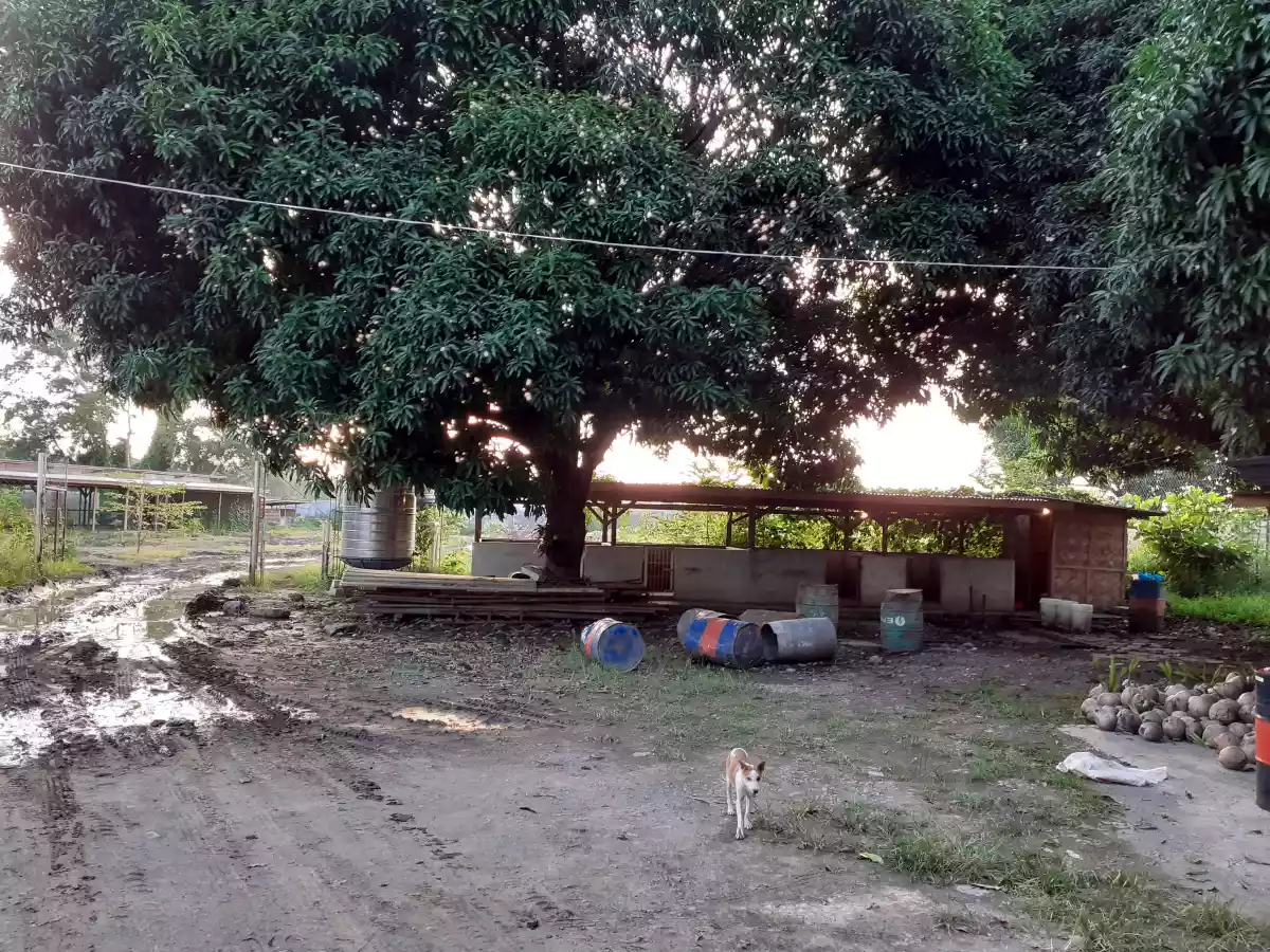 Open photo 21 of 21 — Commercial lot for sale 6000 sqm