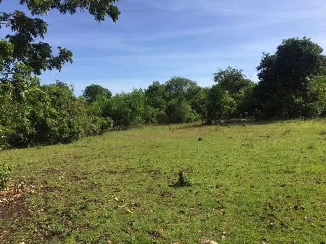 Lot For Sale in Dauis, Bohol — Residential Lot in Bohol, Philippines — Photo 4