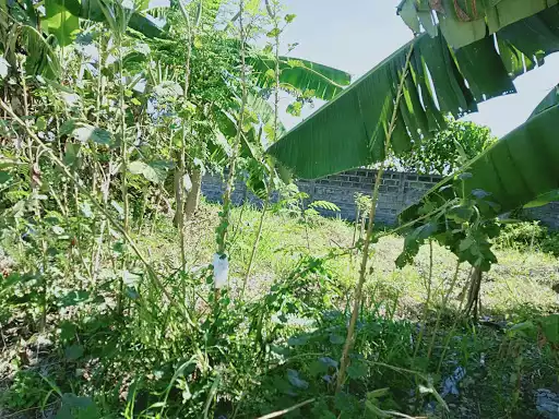 LOT FOR SALE!! — Residential Lot in Lapu-Lapu City, Cebu, Philippines — Photo 4