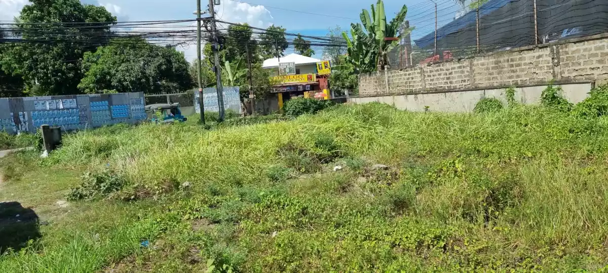 COMMERCIAL PROPERTY FOR SALE IN TALISAY CITY - photo 5