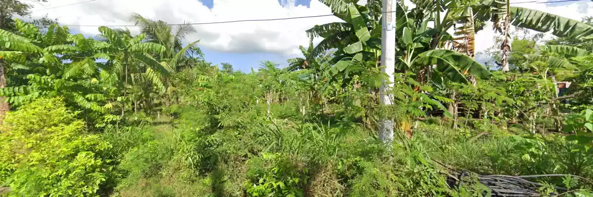 BARATO nga YUTA sa CARCAR! P2,500/sqm — Agricultural Lot in Carcar City, Cebu, Philippines — Photo 6
