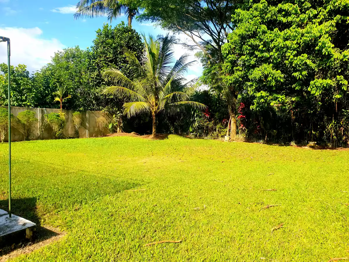 HOUSE and LOT for Sale at Malaybalay City - photo 3