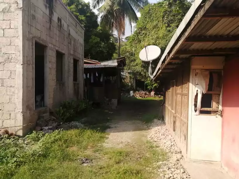 LOT FOR SALE IN LAGTANG TALISAY - photo 4