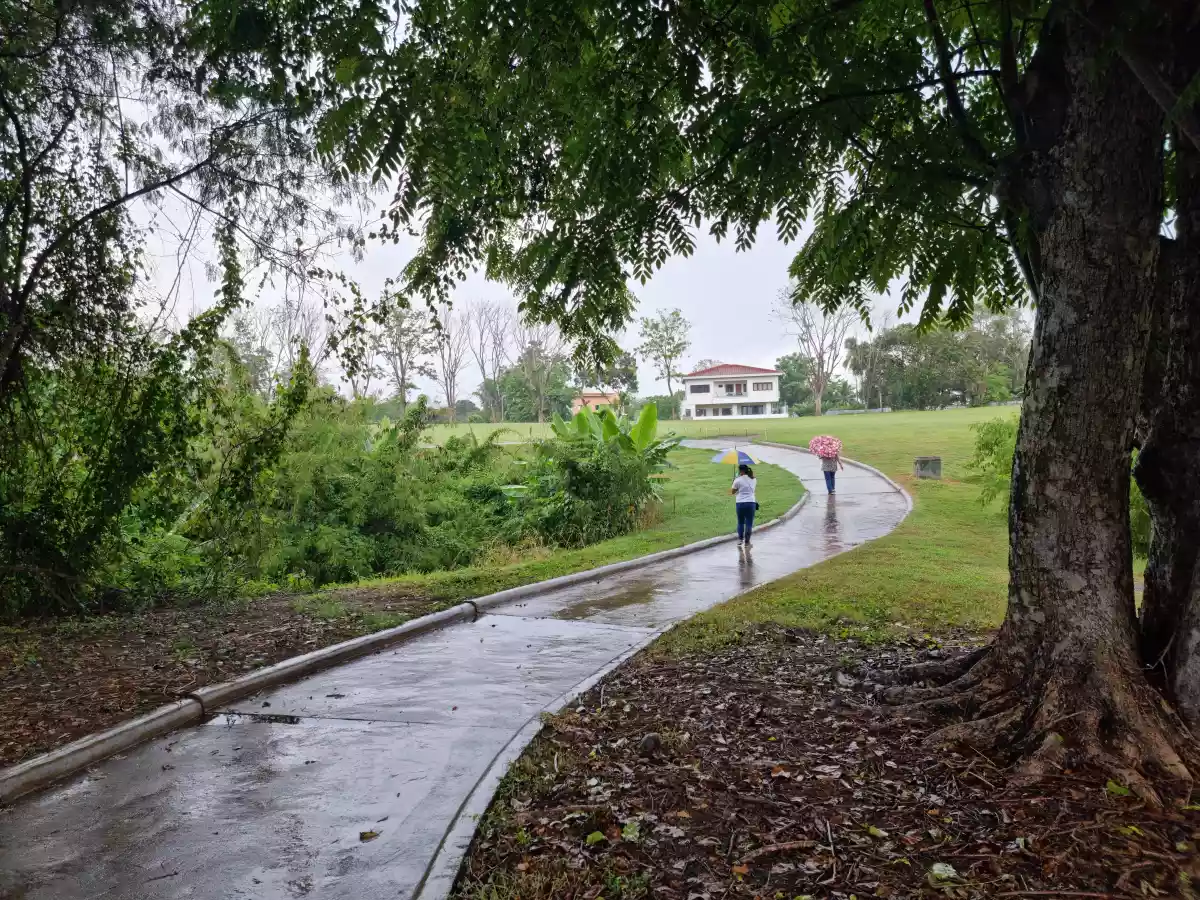 Pueblo Golf Estates Fairway Lot for Sale - photo 4