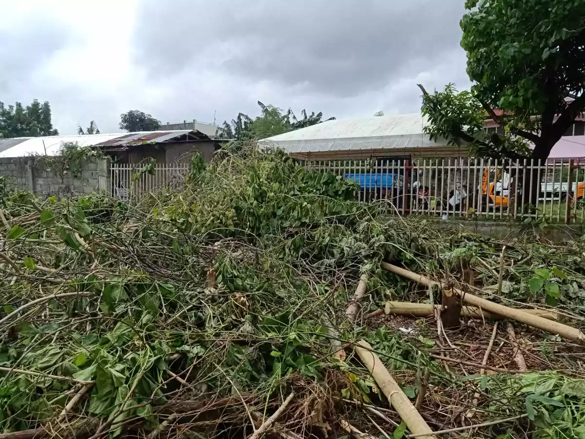 Open photo 15 of 17 — LOT FOR SALE