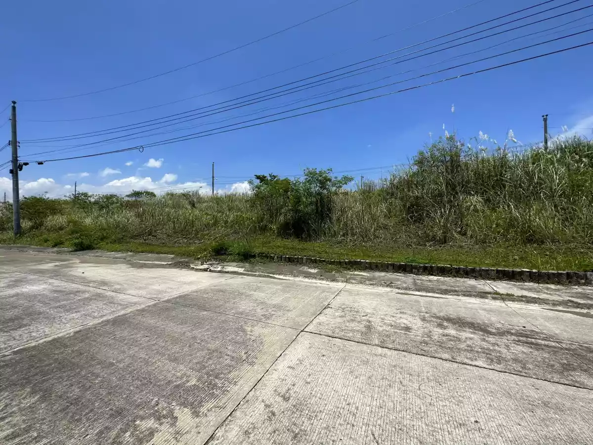 LOT FOR SALE IN NORTHTOWN — Residential Lot in Buhangin, Davao City, Davao del Sur — Photo 5