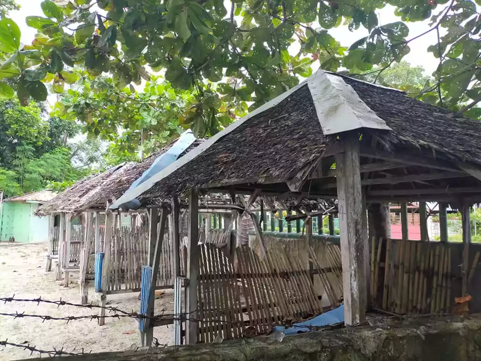 390sqm beachfront clean title lot with white sand for sale in Poblacion Baclayon Bohol - photo 4