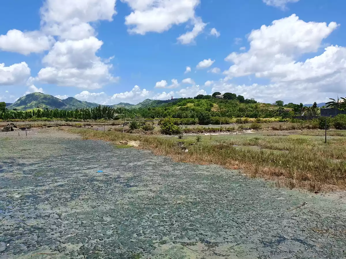 Developers' Pick! Prime Location for Township/Commercial Development in Roxas City - photo 4