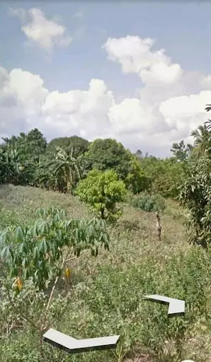 San Juan 134has — Agricultural Lot in San Juan, Batangas, Philippines — Photo 4