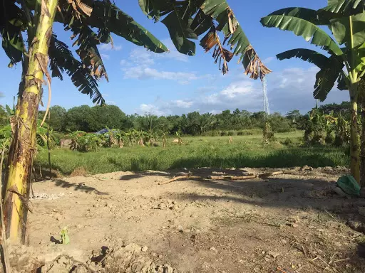 Lot for Lease in Old Sagay! — Commercial Lot in Sagay City, Negros Occidental, Philippines — Photo 4